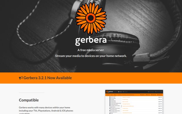 Gerbera