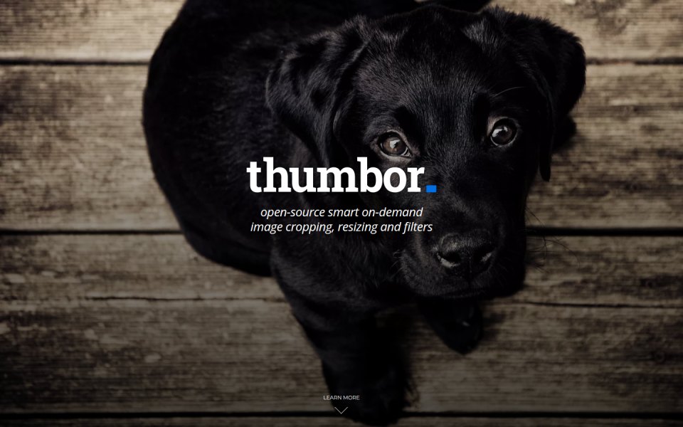 Thumbor