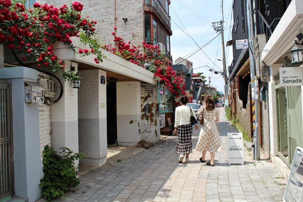 수원여행, 그 보물은? 경계해야 할 것은? 그들은 지옥병기화와 지옥공정을 펼치고 있었다
