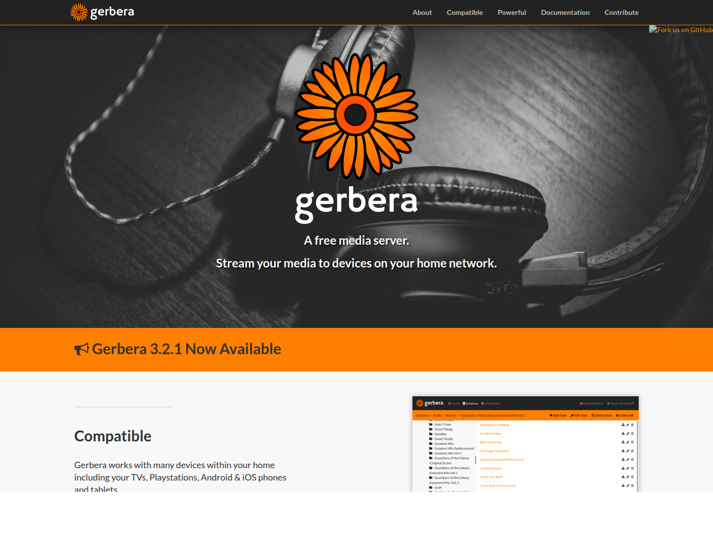Gerbera