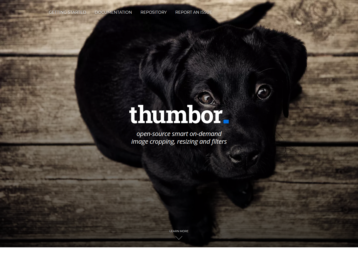 Thumbor